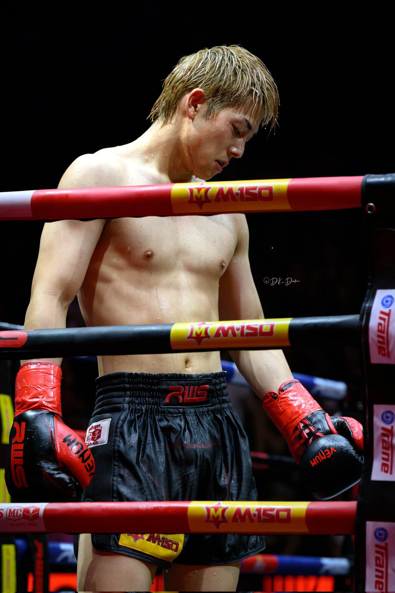 Fight Shop Direct -Fight Shop Direct 480065802 624672723479698 8059705073209131221 n