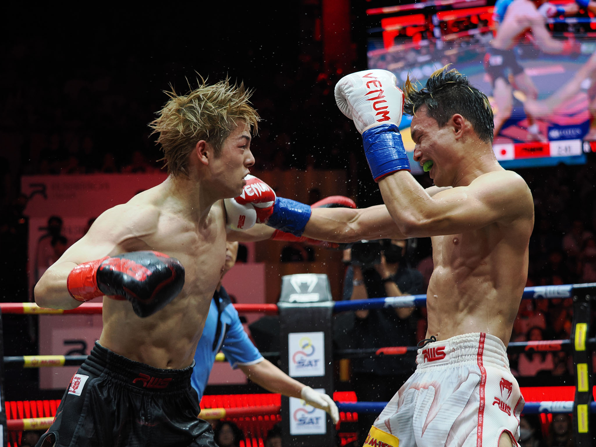 Fight Shop Direct -Fight Shop Direct P7017699