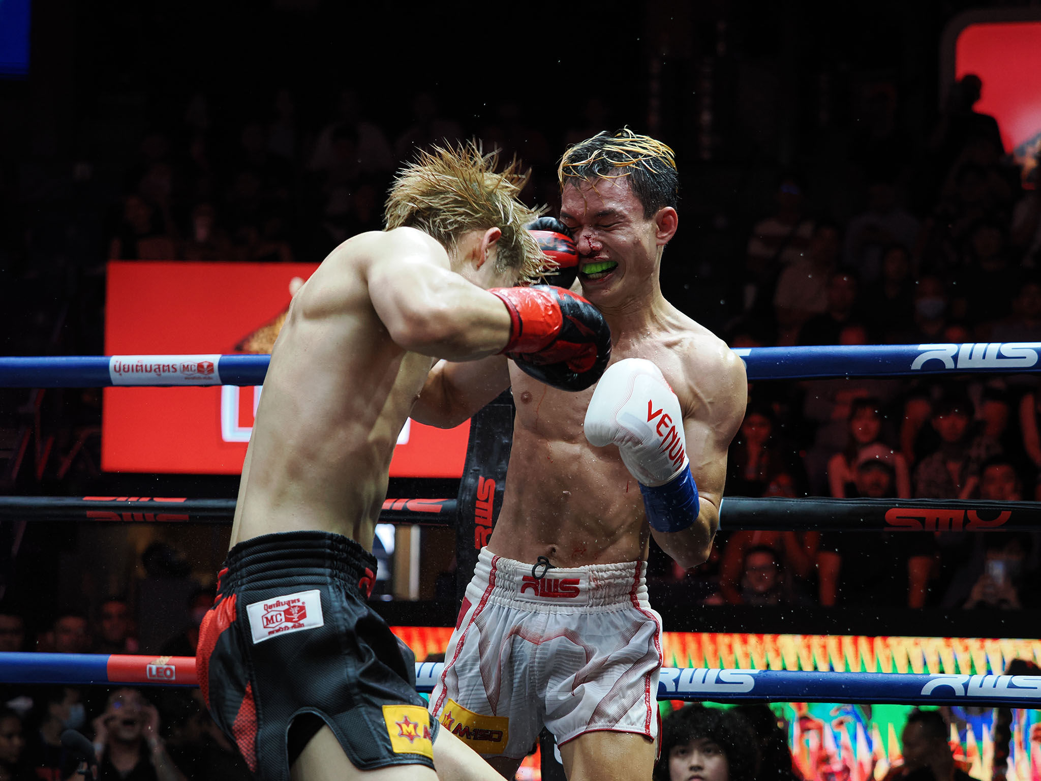 Fight Shop Direct -Fight Shop Direct P7017825