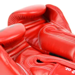 Fairtex X KGP Red Muay Thai Gloves -Fight Shop Direct bgv kgp rd 6