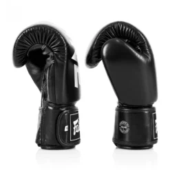Fairtex X ONE Championship Black Muay Thai Gloves -Fight Shop Direct bgv1 one bk 3