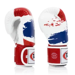 Fairtex BGV1-T Thai Pride Muay Thai Gloves -Fight Shop Direct bgv1 t 3