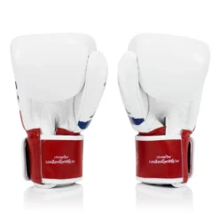 Fairtex BGV1-T Thai Pride Muay Thai Gloves -Fight Shop Direct bgv1 t 4