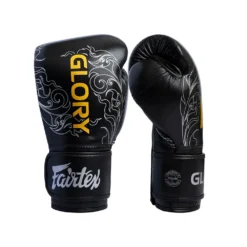 Fairtex X Glory BGVG3 Black Silver Kickboxing Gloves