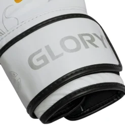 Fairtex X Glory BGVG3 White Kickboxing Gloves -Fight Shop Direct bgvg3 wh 4